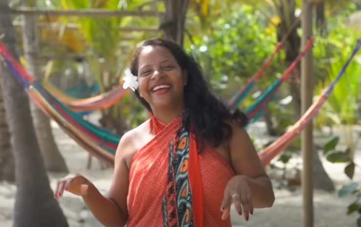 To My Love de Bomba Estéreo de que trata y a quien está dirigida.